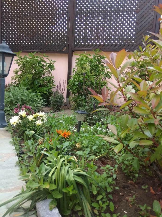 My Home Apartments 1 Limenas  Exterior photo